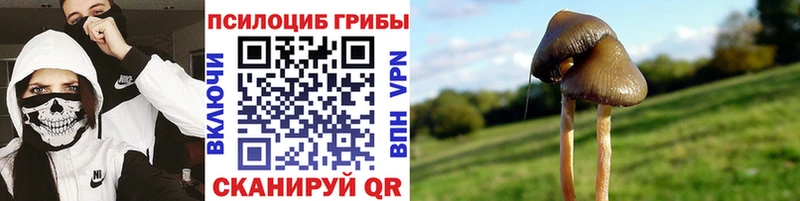 Галлюциногенные грибы мухоморы Слюдянка